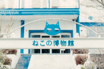 🐱 고양이 박물관 (네코노 하쿠부츠칸)